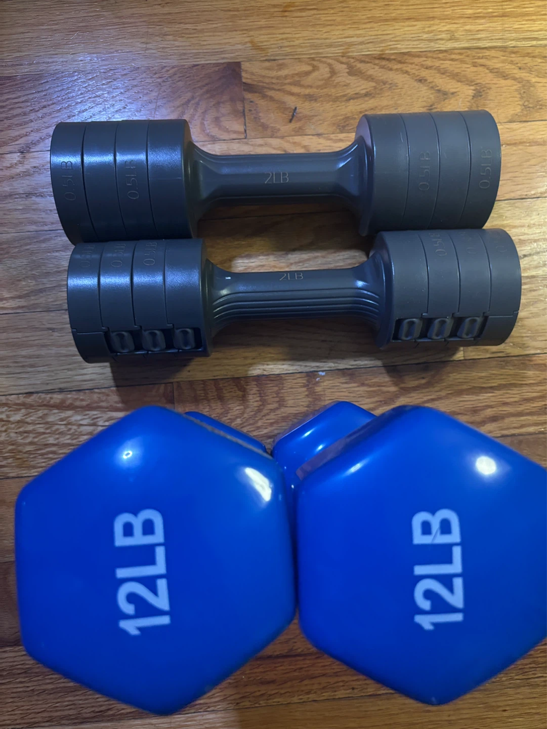 (Free) 12LB Dumbbells and Adjustable Dumbbells