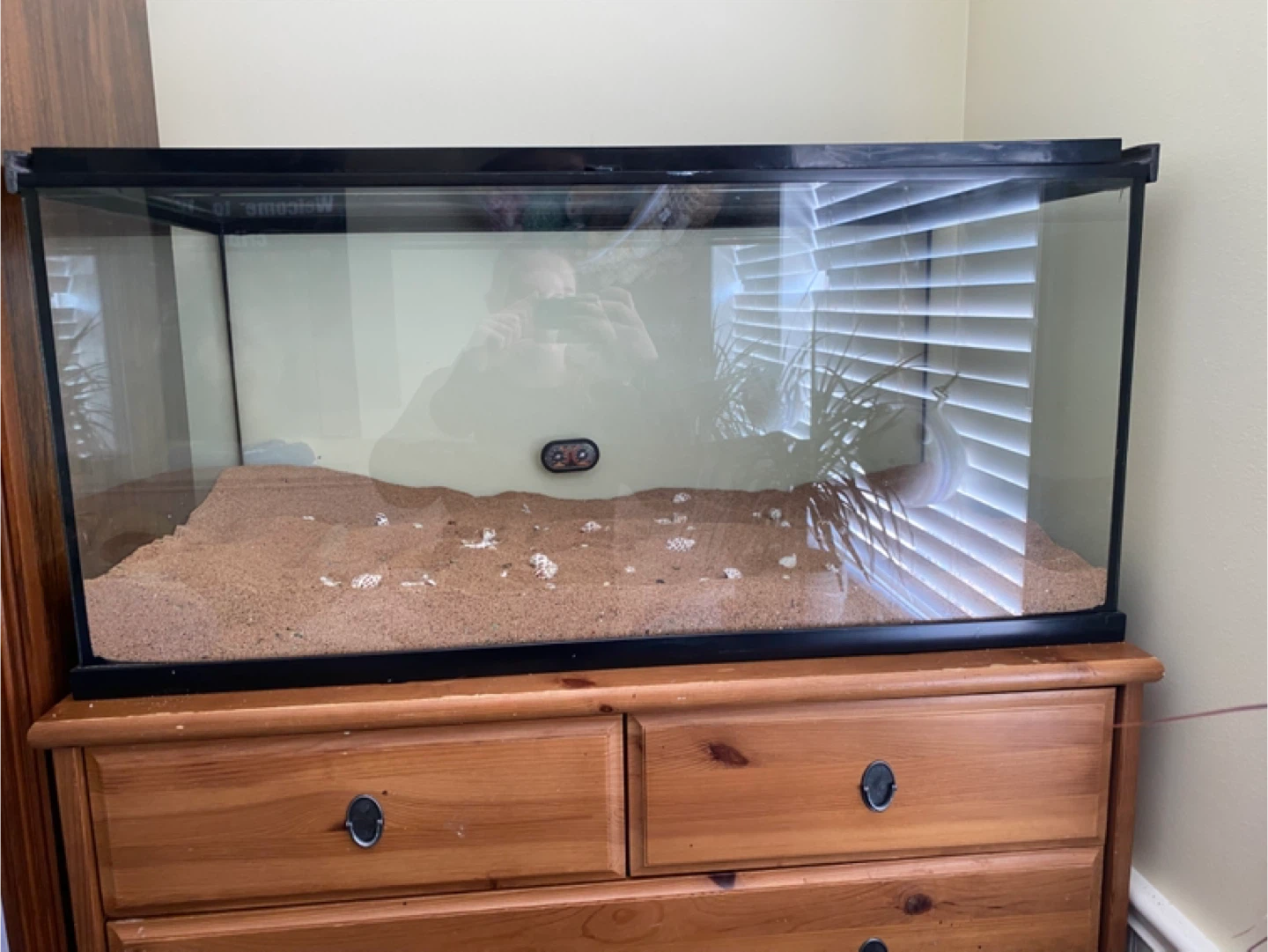 40 gallon reptile tank