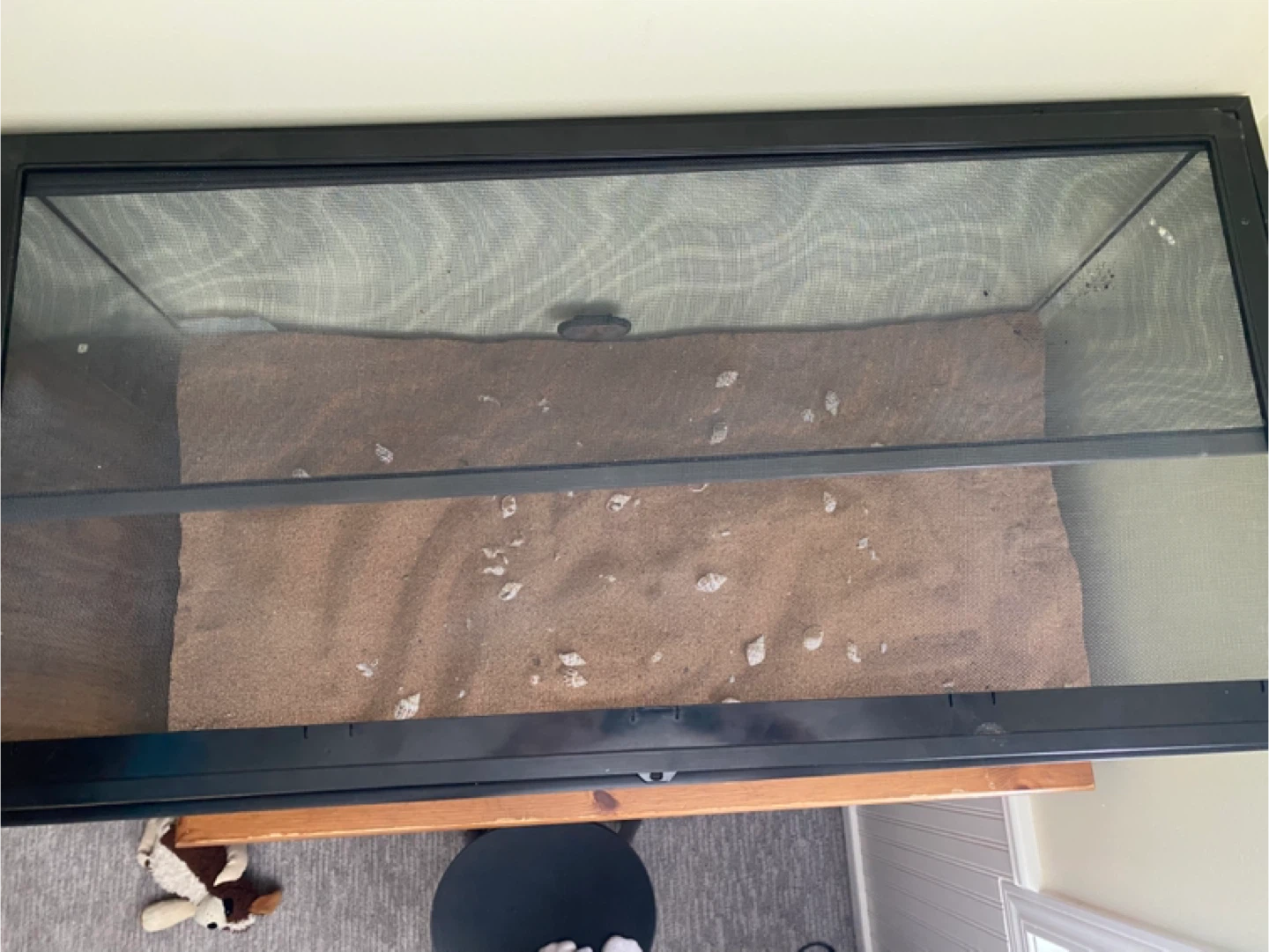 40 gallon reptile tank - photo 2