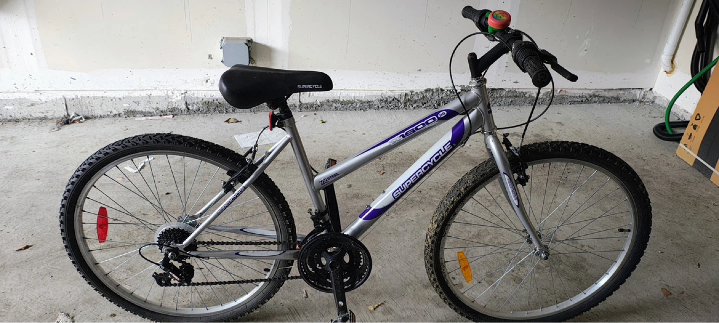 Supercycle Adult Bicycle