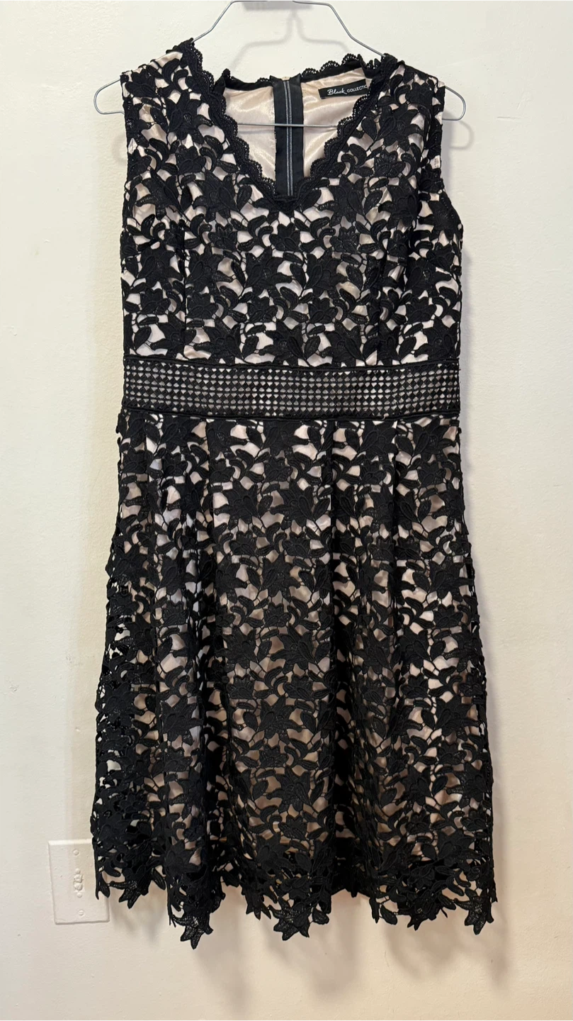 Black Lace Dress with Nude Lining