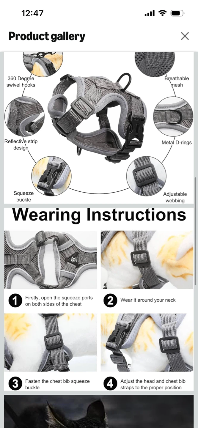 Adjustable Cat and Dog Harness and Leash Set (Grey XL)