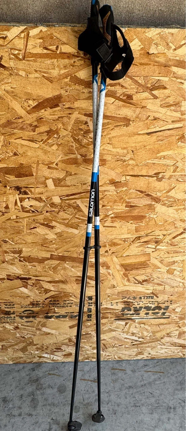 Salomon R60 CLICK Ski Poles