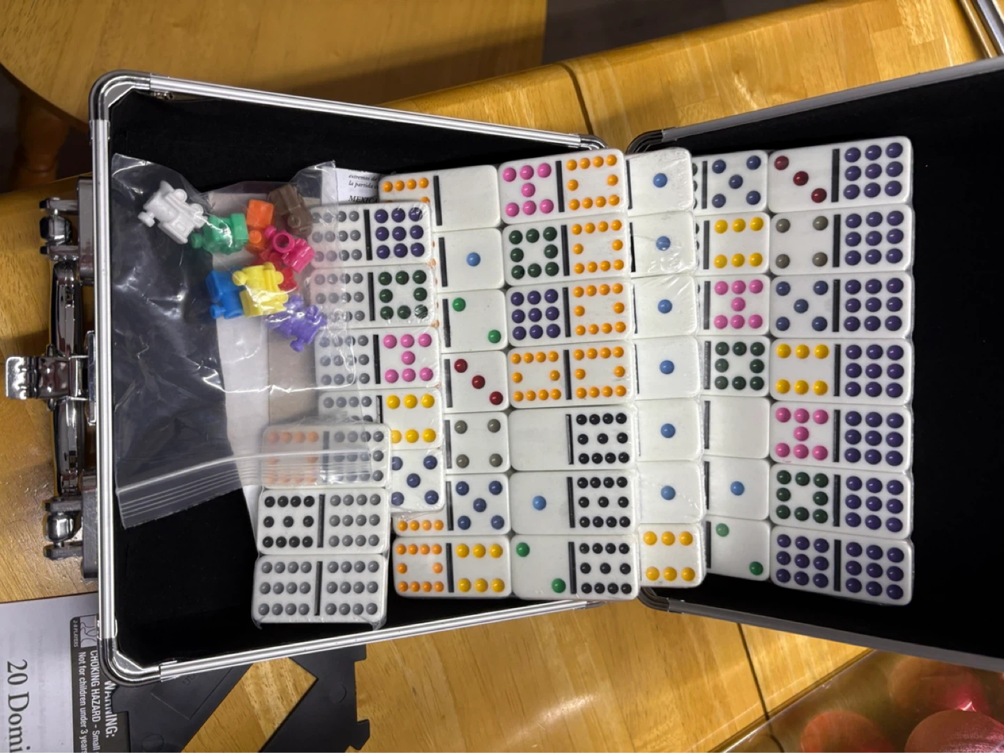 20 Domino Games Set with Case