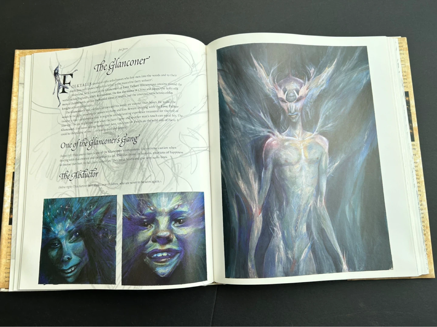 Brian Froud's Faeries Books - photo 4