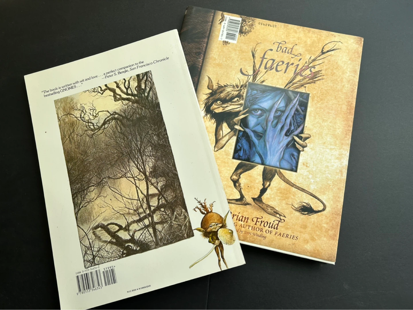 Brian Froud's Faeries Books - photo 2