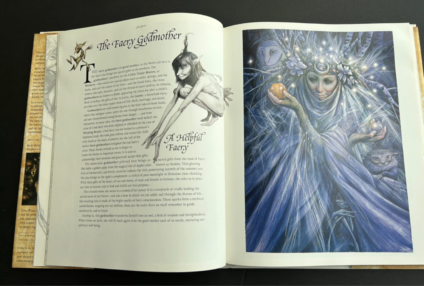 Brian Froud's Faeries Books - photo 5