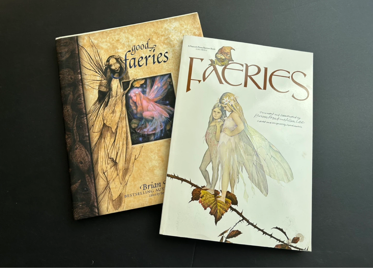 Brian Froud's Faeries Books