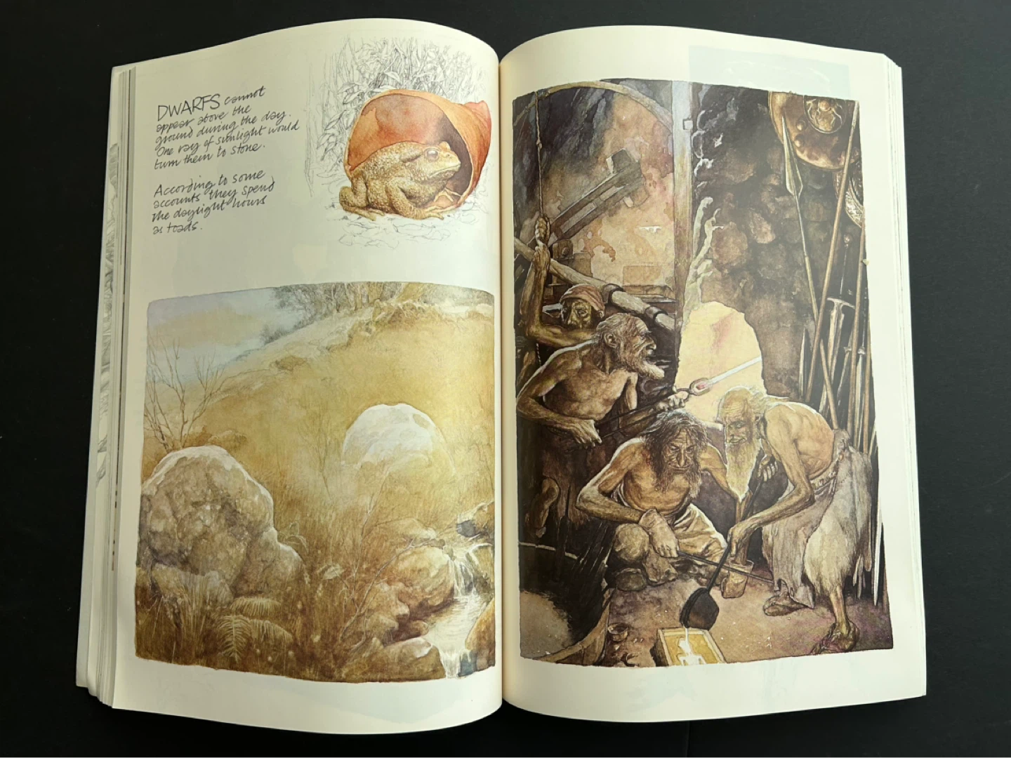 Brian Froud's Faeries Books - photo 3