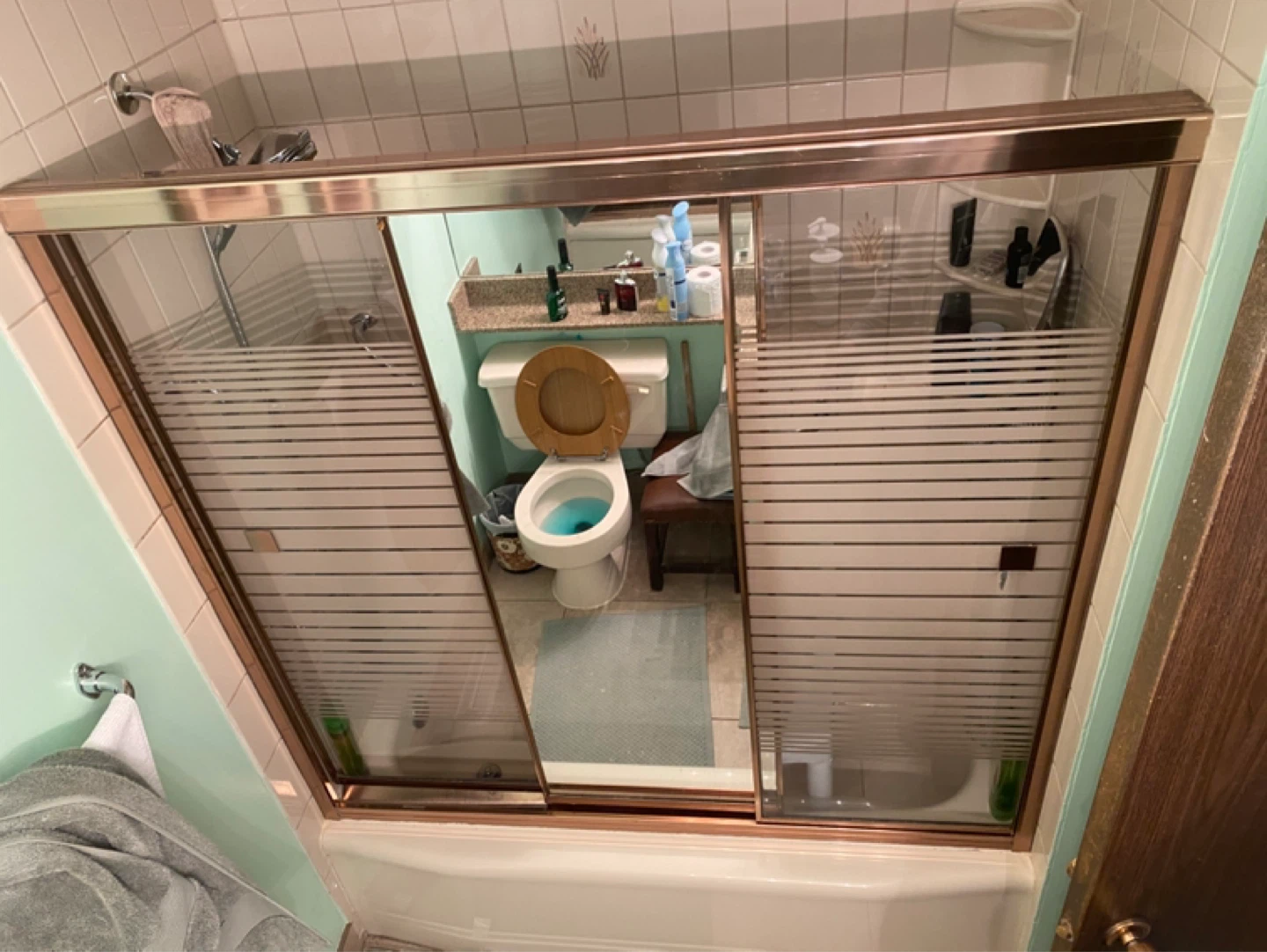 Shower Sliding Door