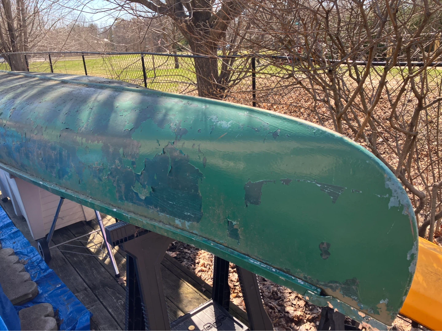 Canoe