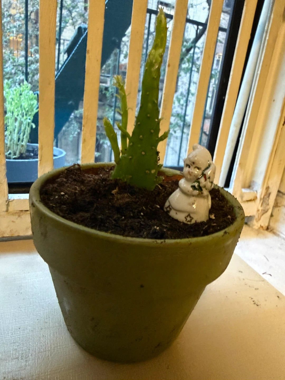 Cactus plant with bottom and tiny statue next to it - photo 2