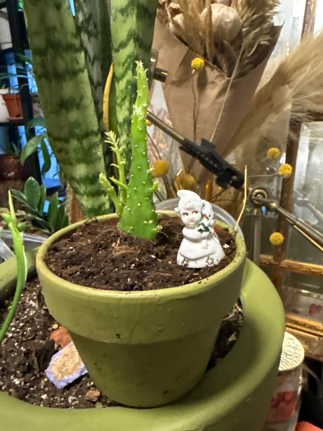 Cactus plant with bottom and tiny statue next to it - photo 3