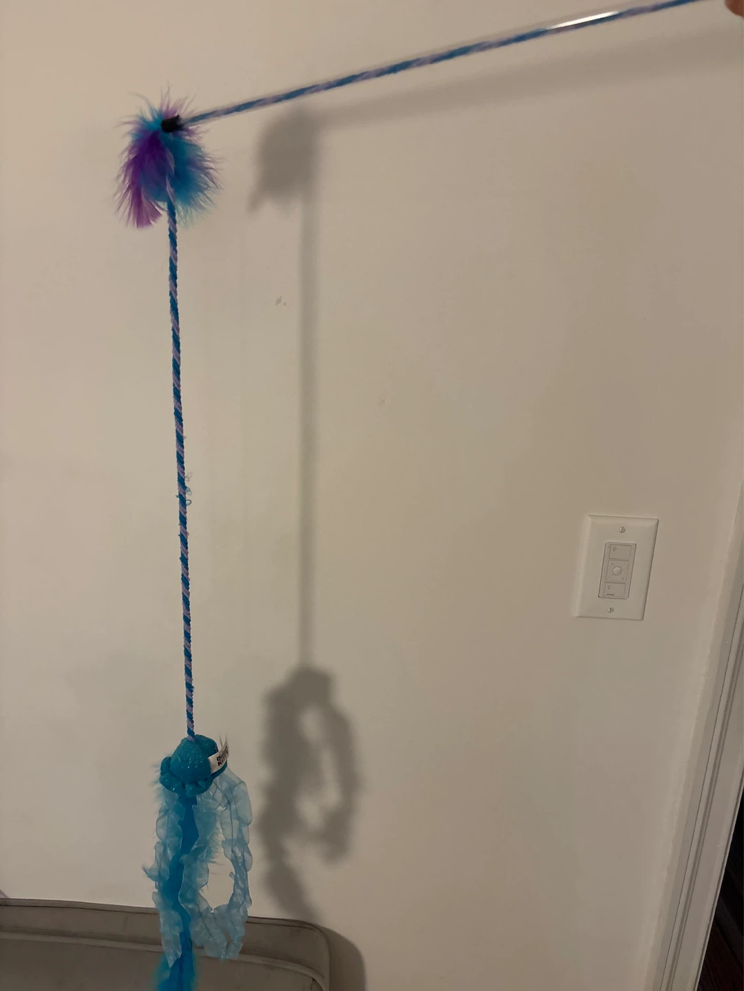 (Free) Cat Wand Toy and New litter scoop - photo 2