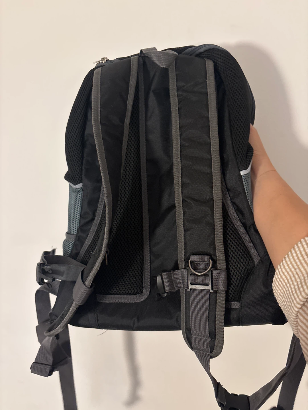 (Free) Black Pet Carrier Backpack - photo 2