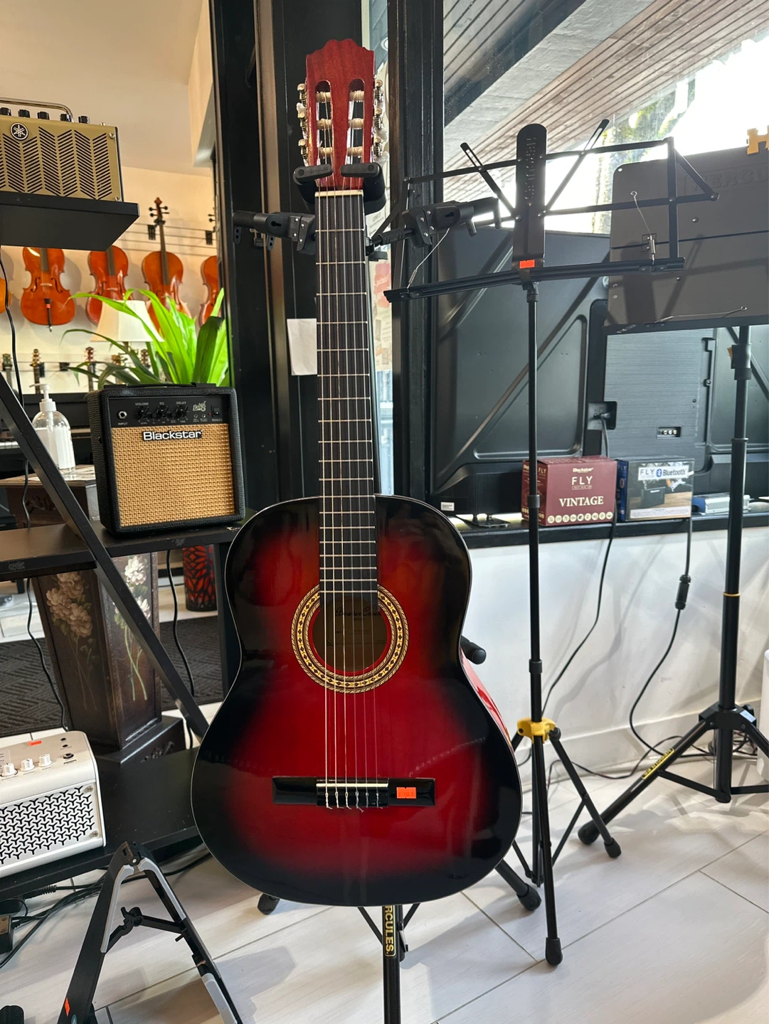 Brand New Beaver Classical Guitar and gig bag