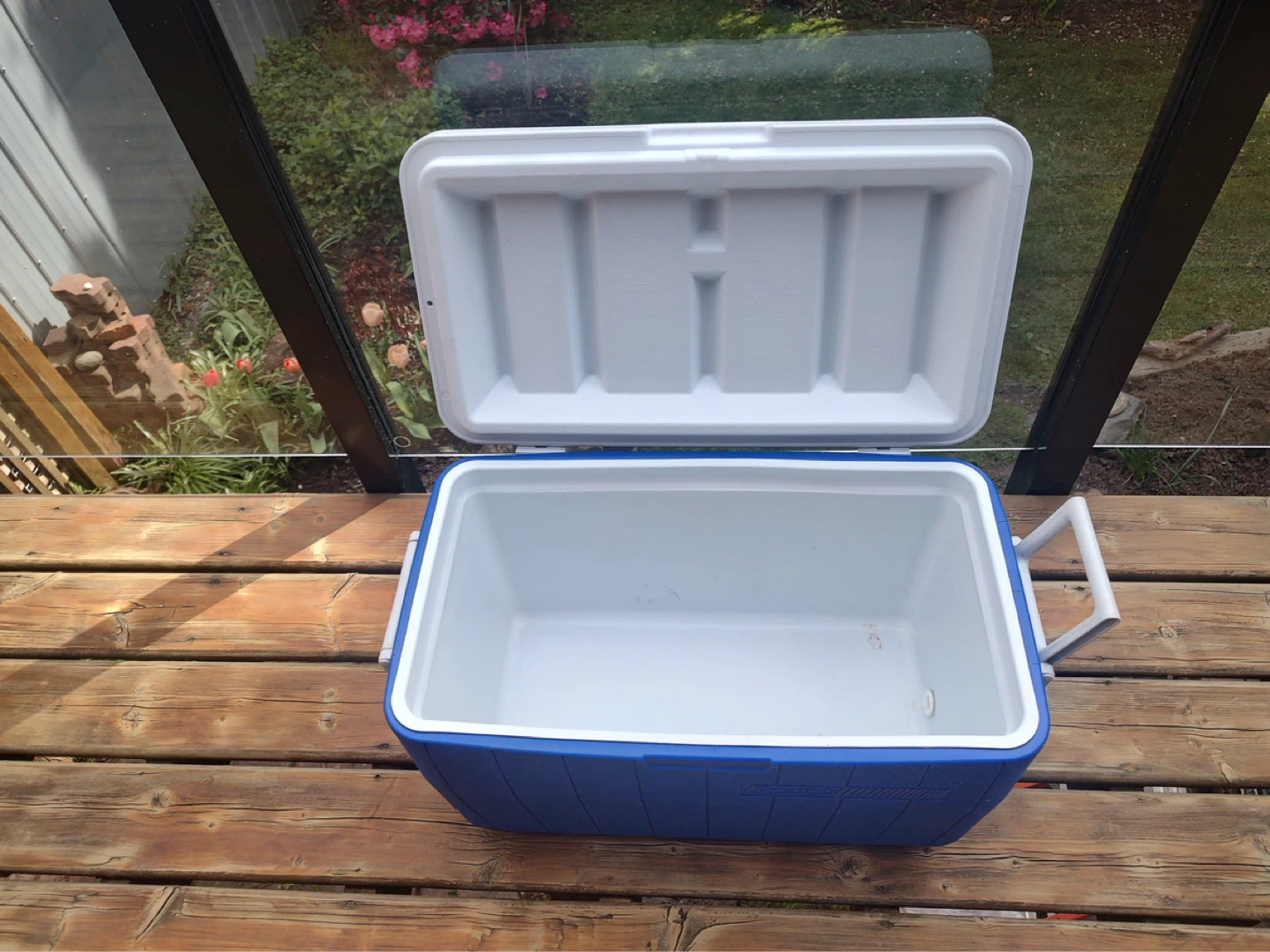 Coleman Cooler - Blue