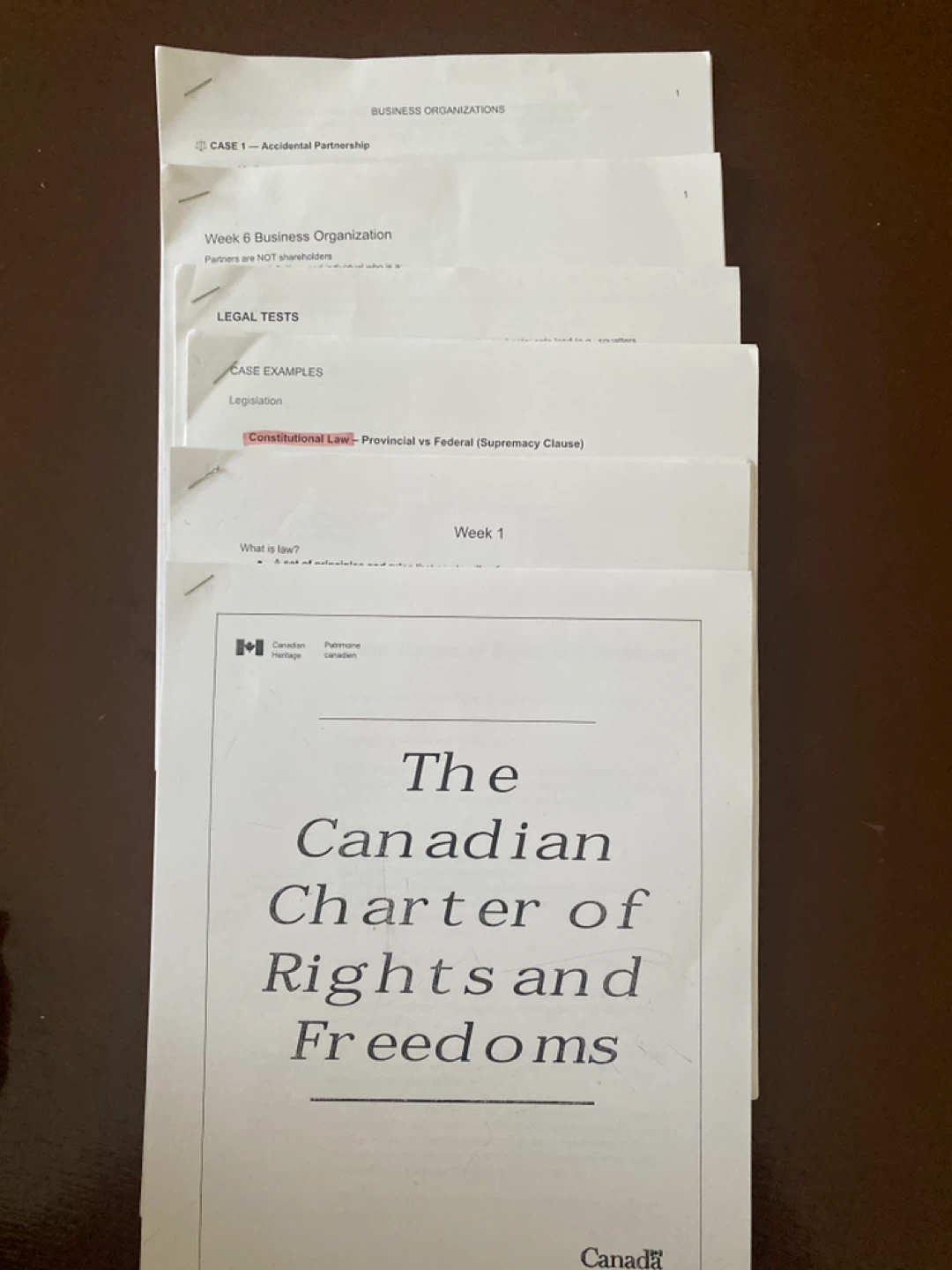 The Canadian Charter of Rights and Freedoms Study Notes
