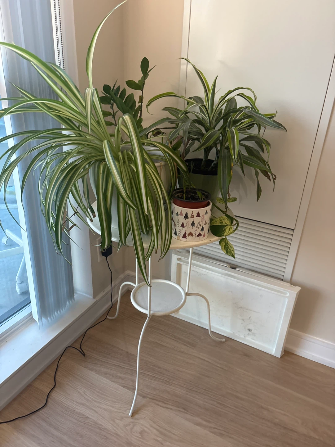 Assorted House Plants with/out White Plant Stand - photo 3