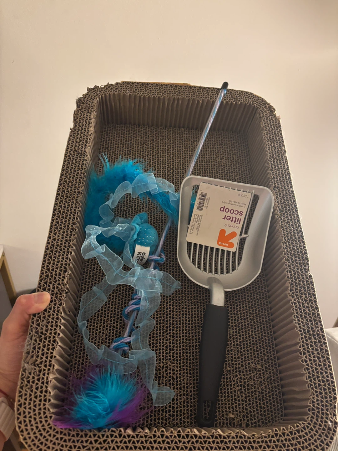 (Free) Cat Wand Toy and New litter scoop