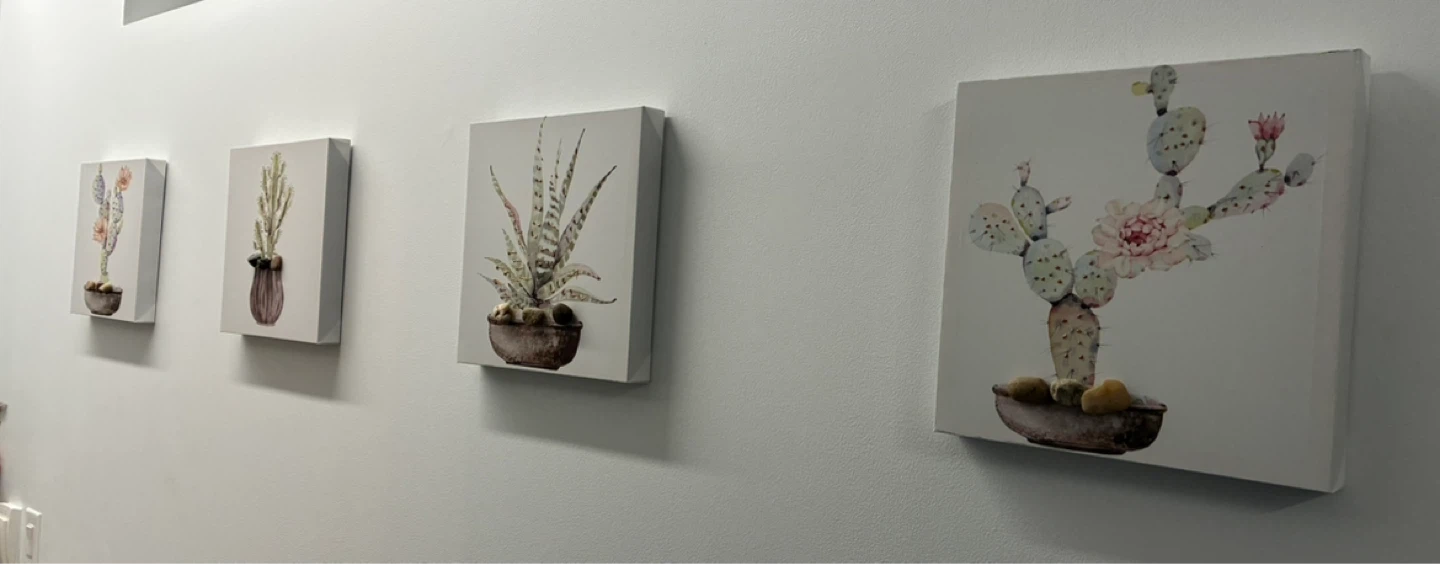 Canvas Wall Art - Cactus and Succulent Prints