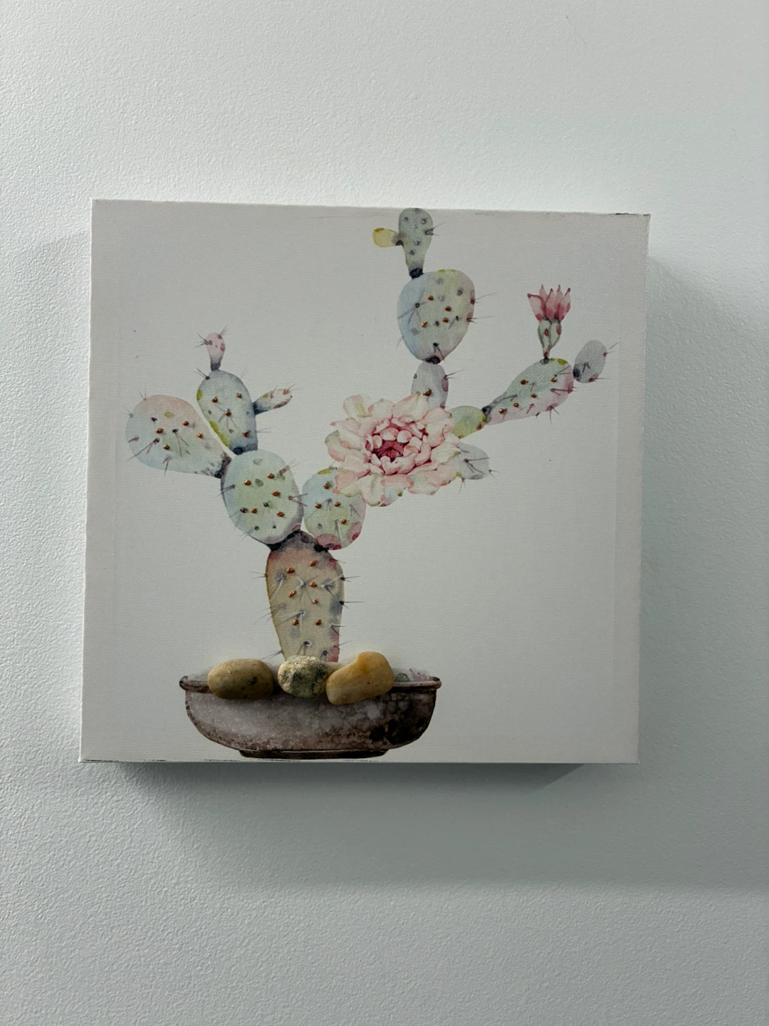 Canvas Wall Art - Cactus and Succulent Prints - photo 2
