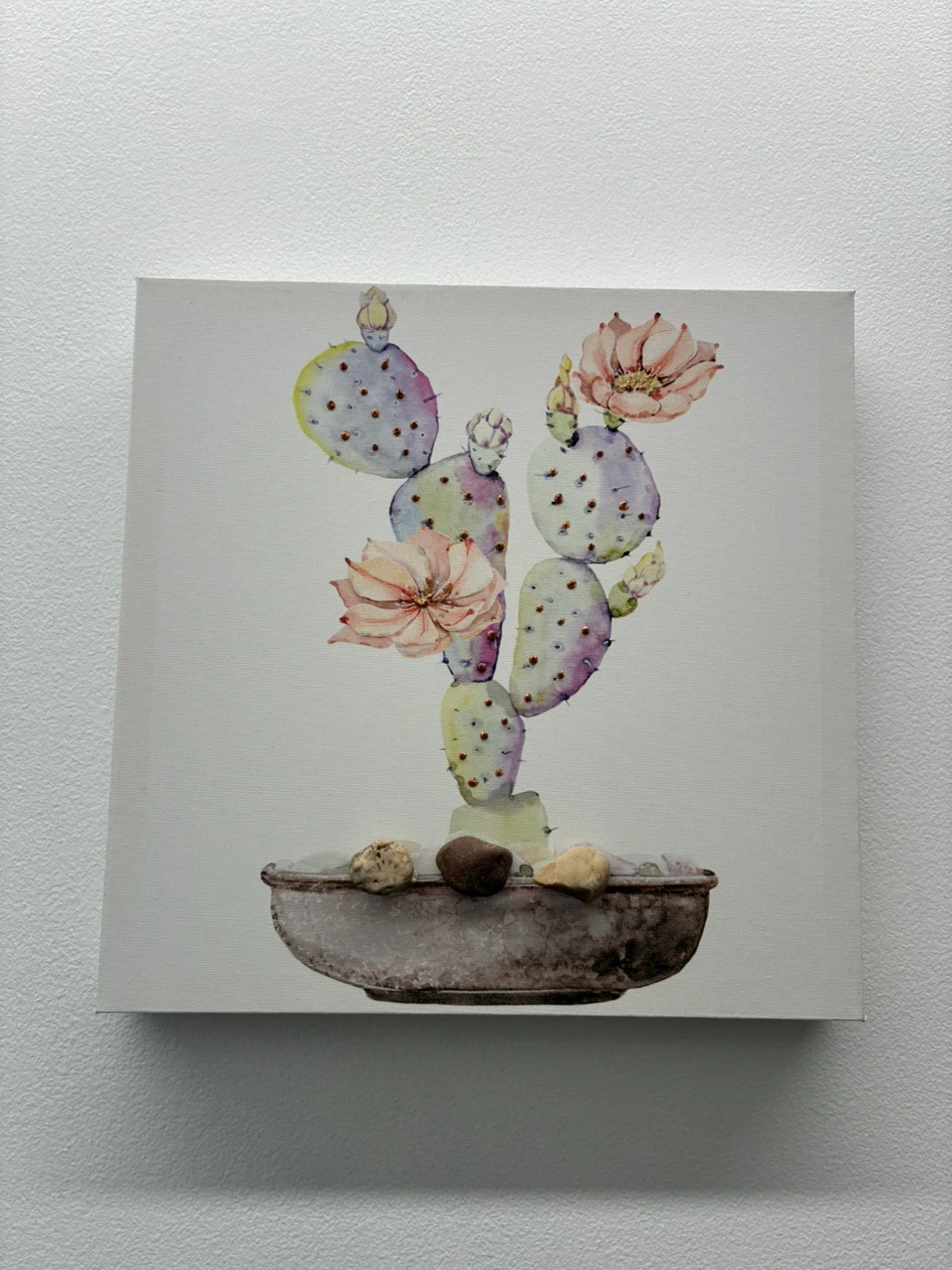 Canvas Wall Art - Cactus and Succulent Prints - photo 5