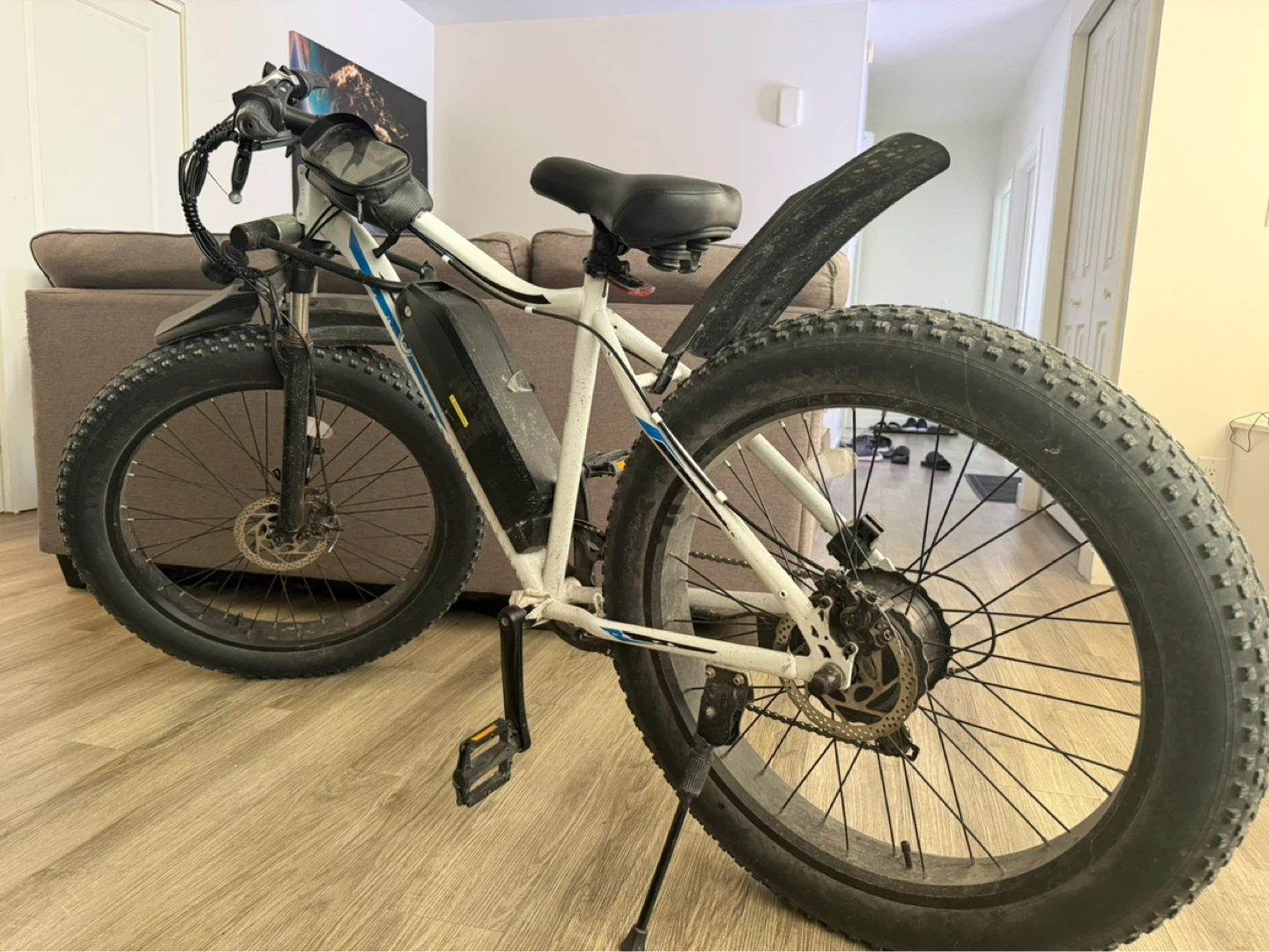 White Fat Tire Electric Bike
