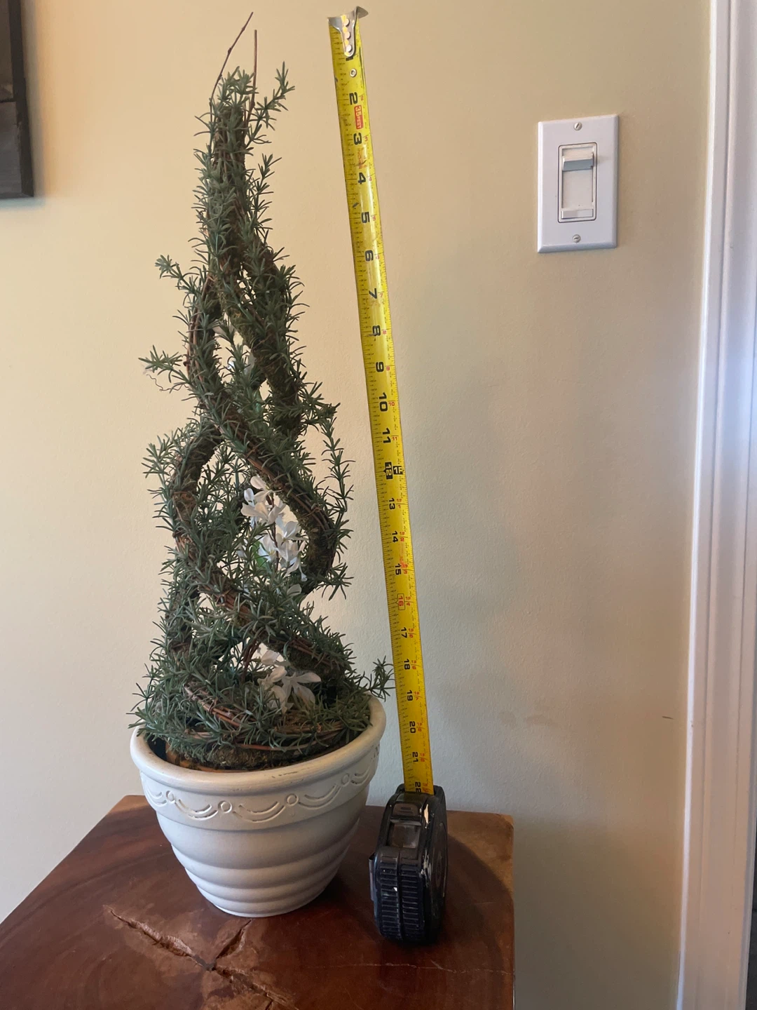 Artificial Rosemary Topiary Plant in White Pot - photo 3