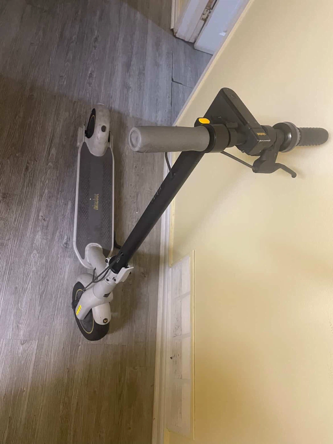 Ninebot Electric Scooter