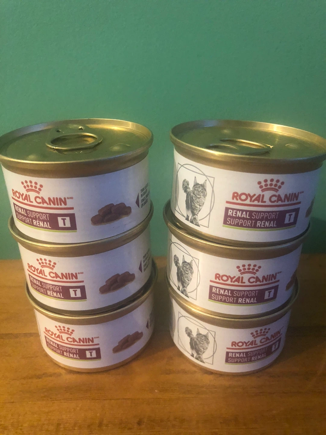 Royal Canin Renal Support T Wet Cat Food