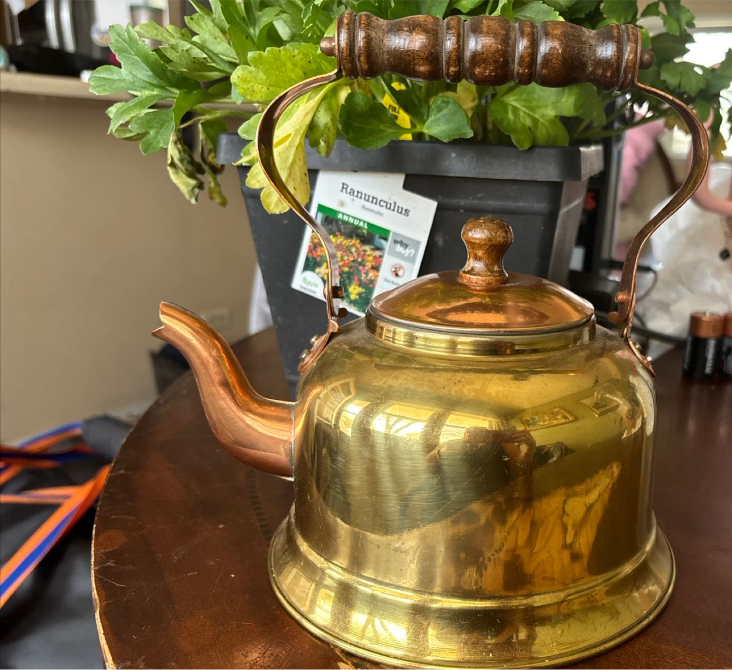 Vintage Brass and Copper Tea Kettle with Wood Handle