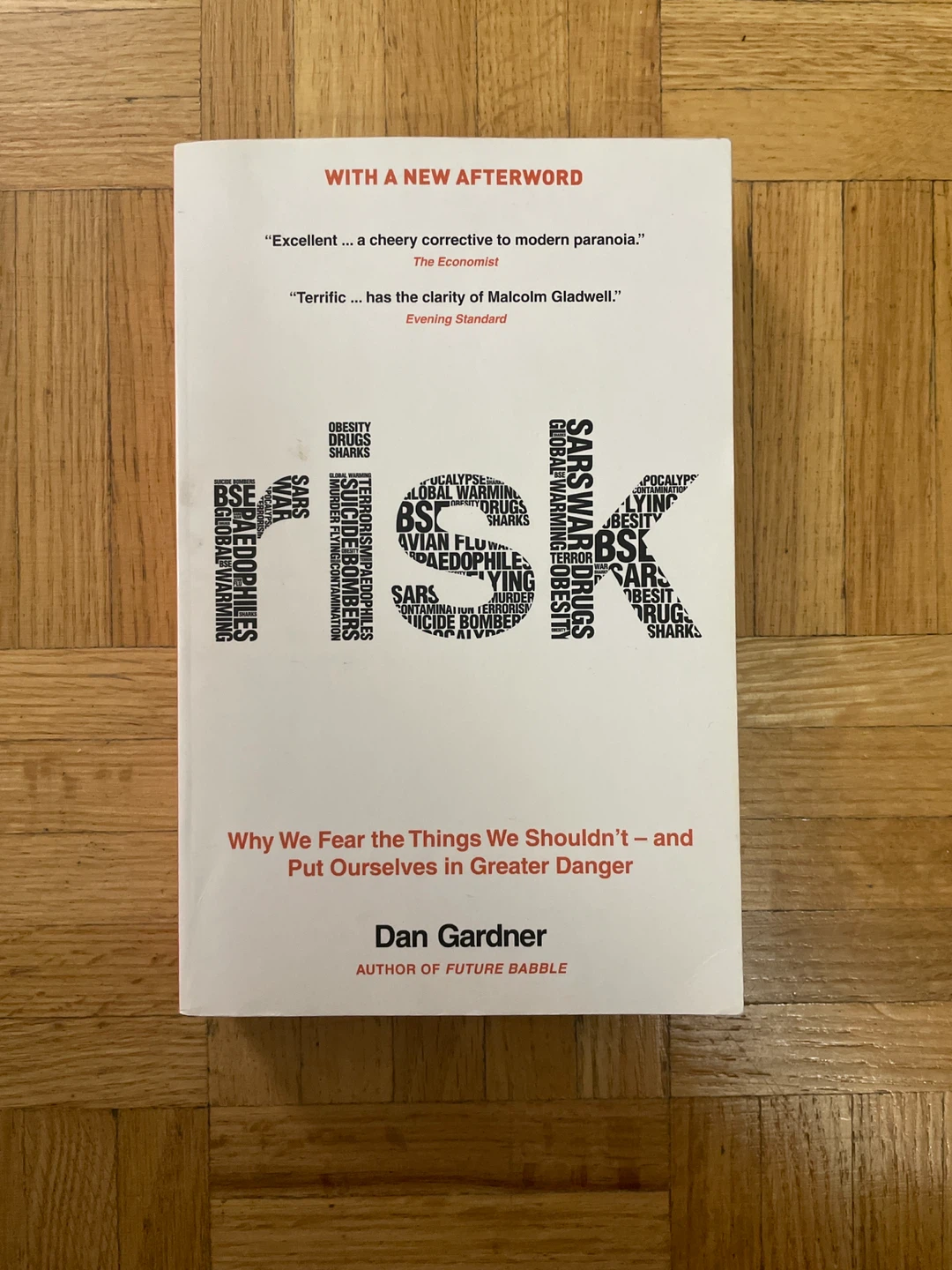Risk by Dan Gardner
