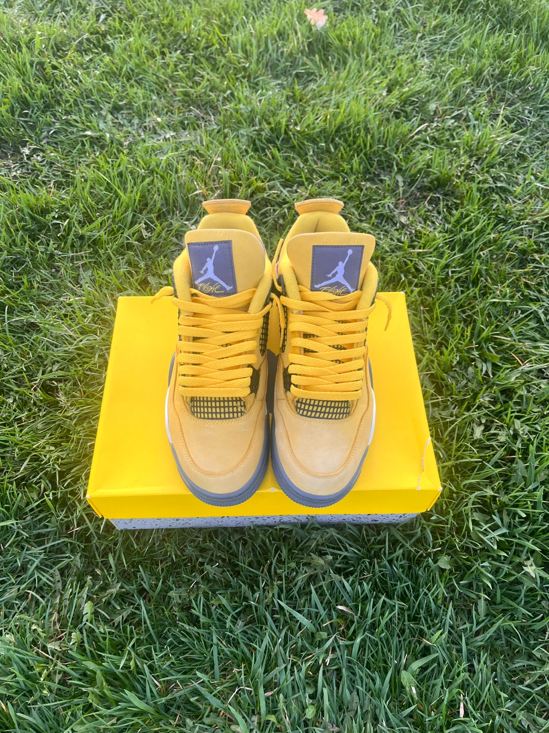 Jordan 4 lightning