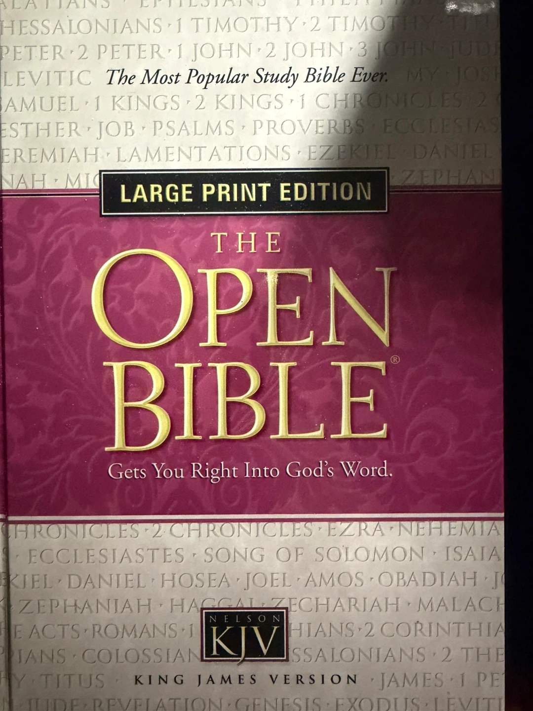 The Open Bible - Large Print Edition