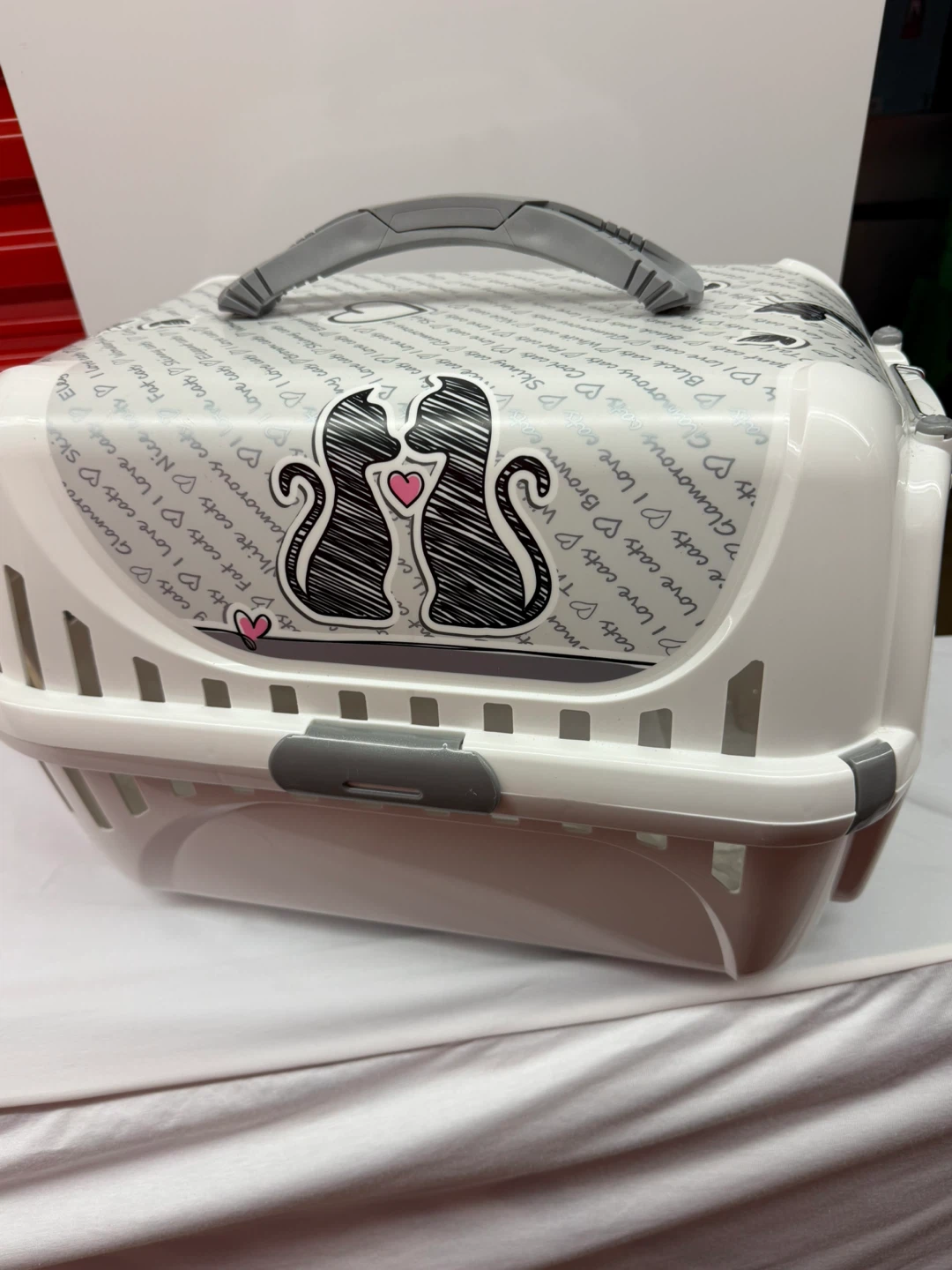 Pet Carrier Crate