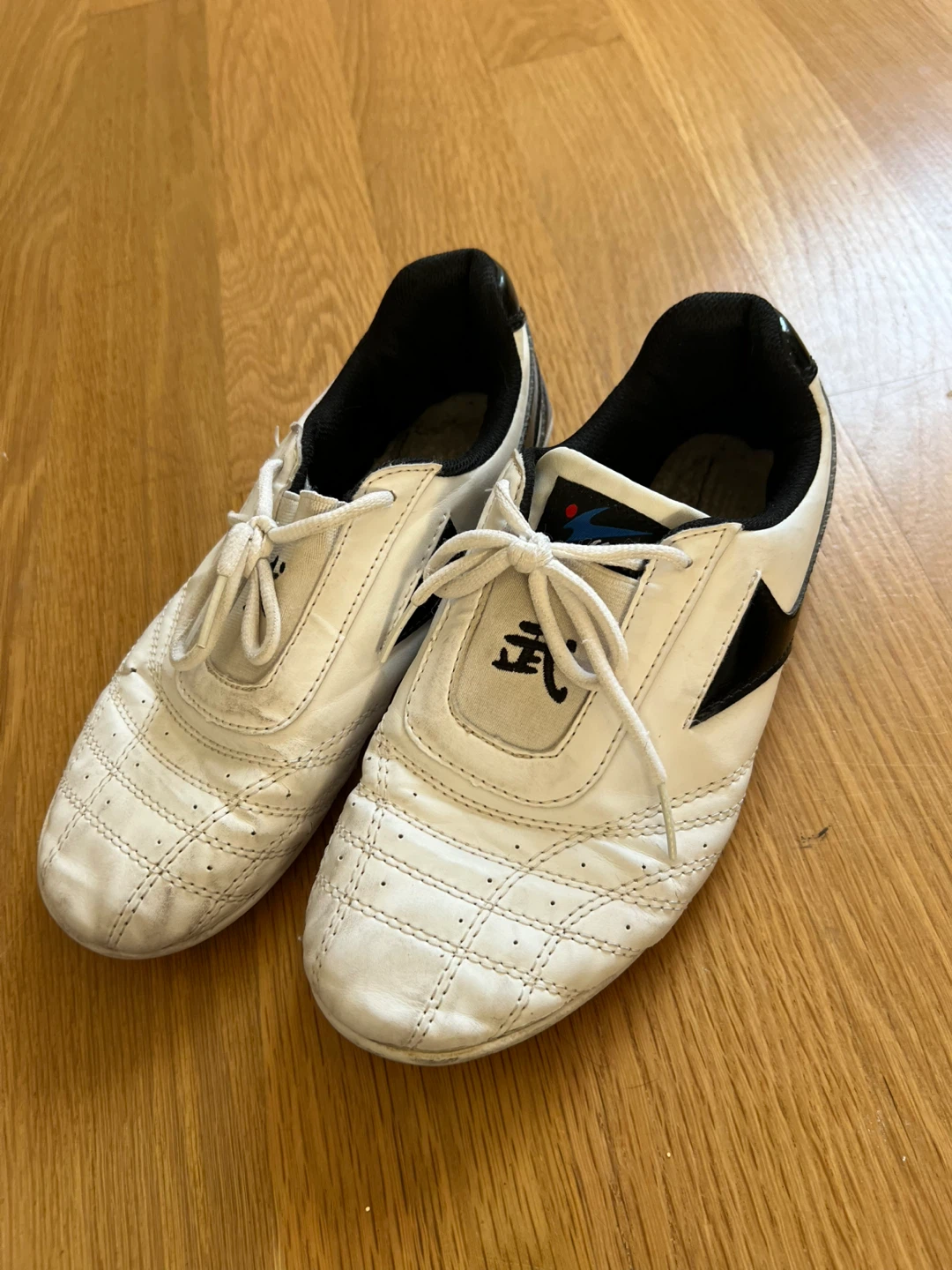Mudo Martial Arts Shoes - White/Black