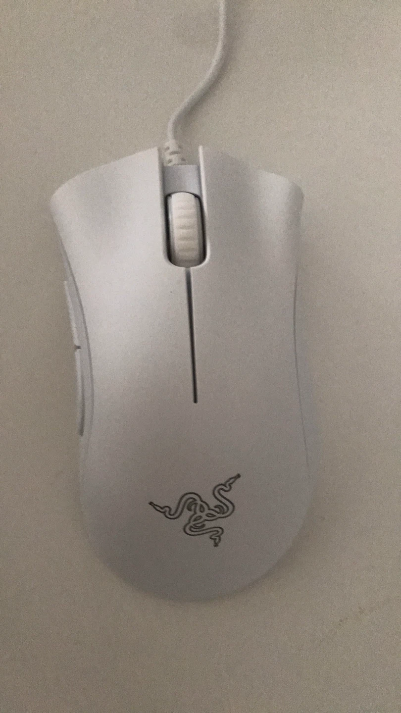 Razar mouse