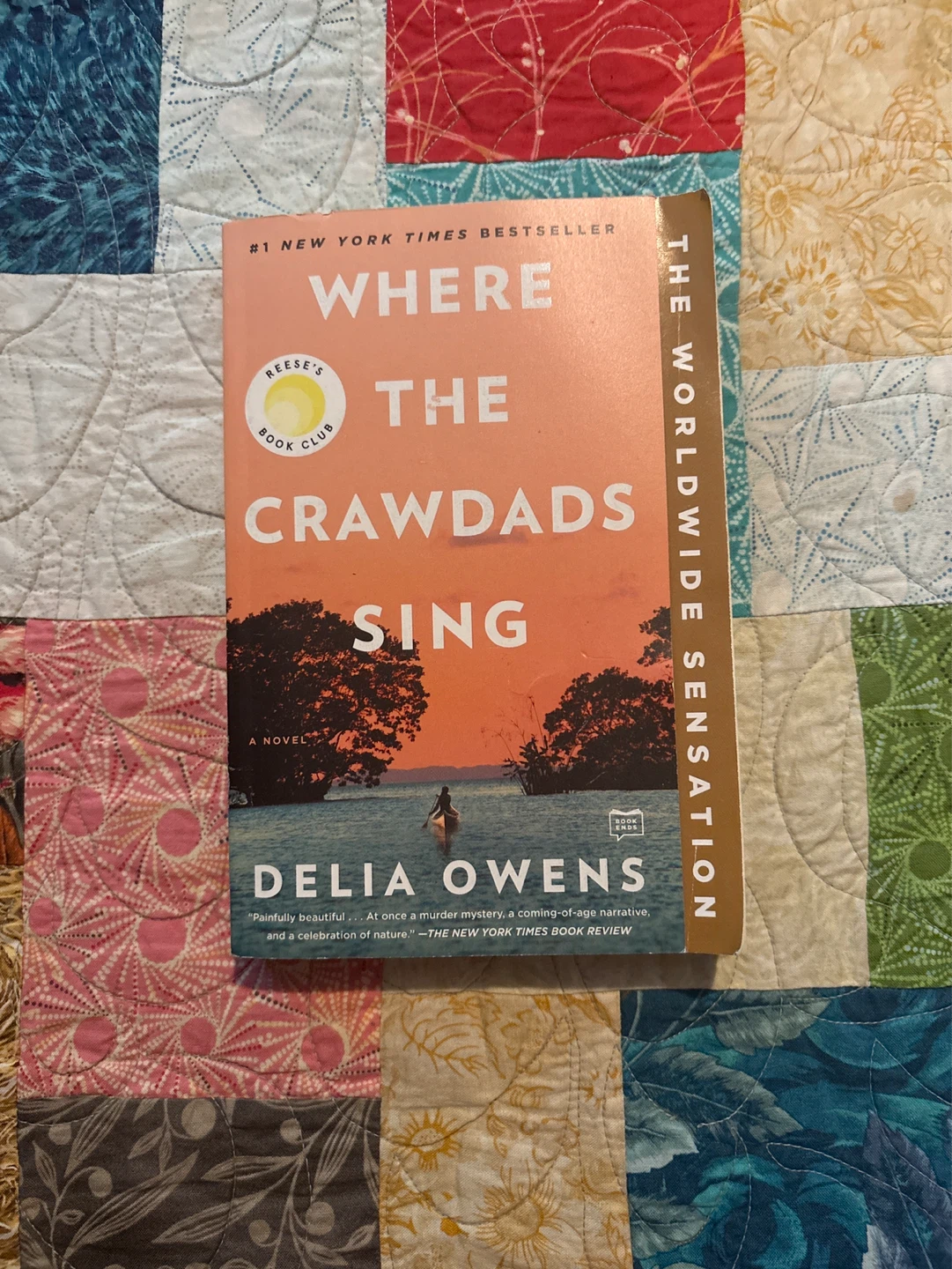 Where the Crawdads Sing by Delia Owens Novel