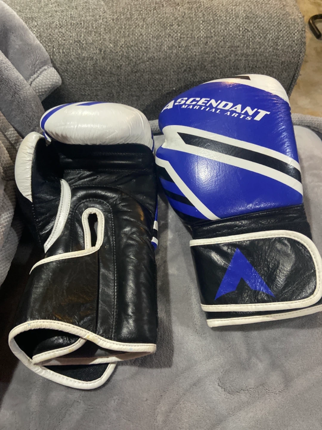 Ascendant Martial Arts 14oz Boxing Gloves