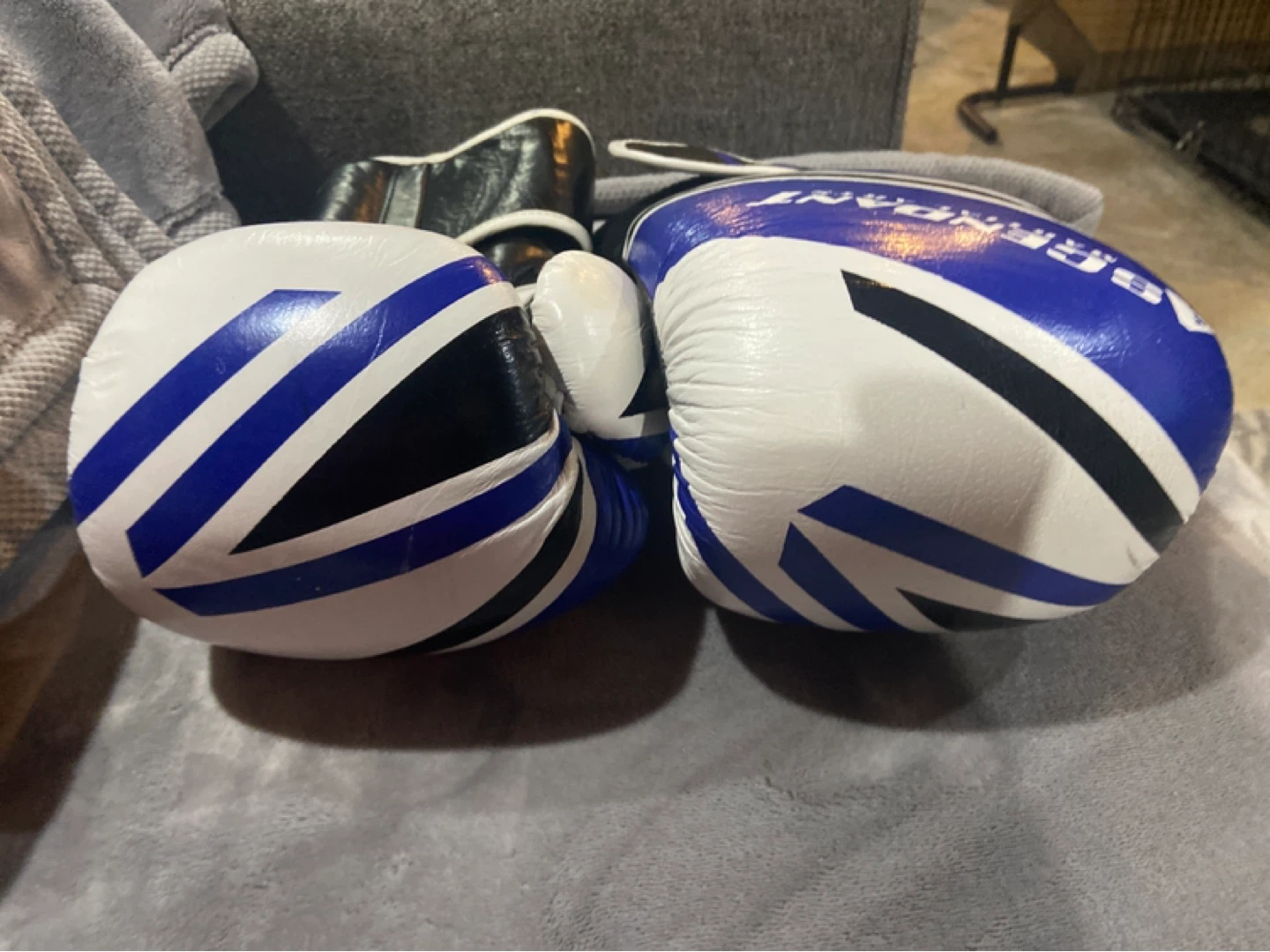 Ascendant Martial Arts 14oz Boxing Gloves - photo 2