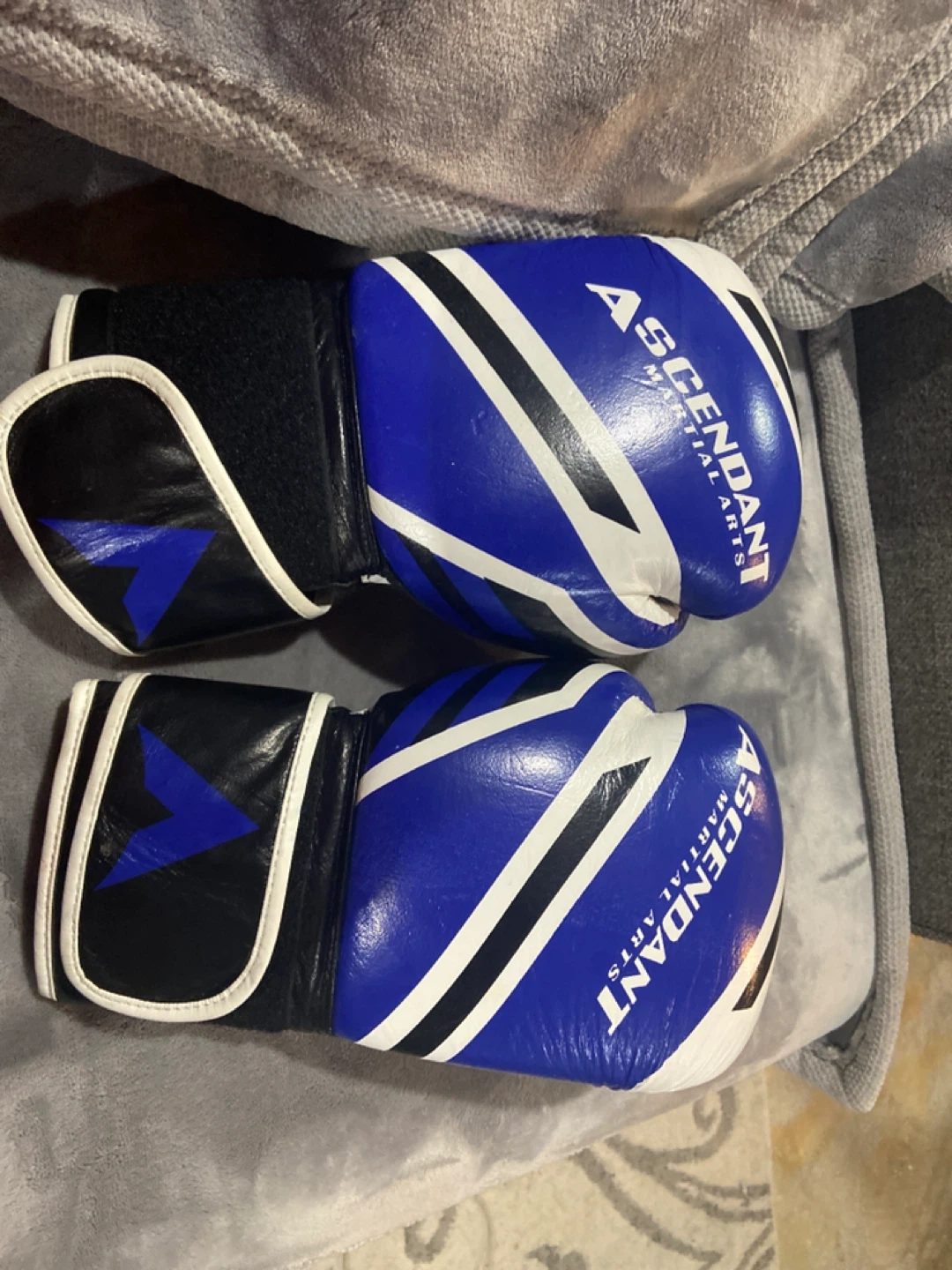 Ascendant Martial Arts 14oz Boxing Gloves - photo 3