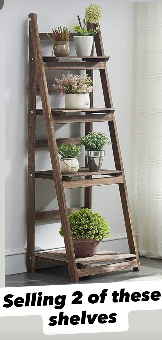 Two : Rustic Ladder Shelf