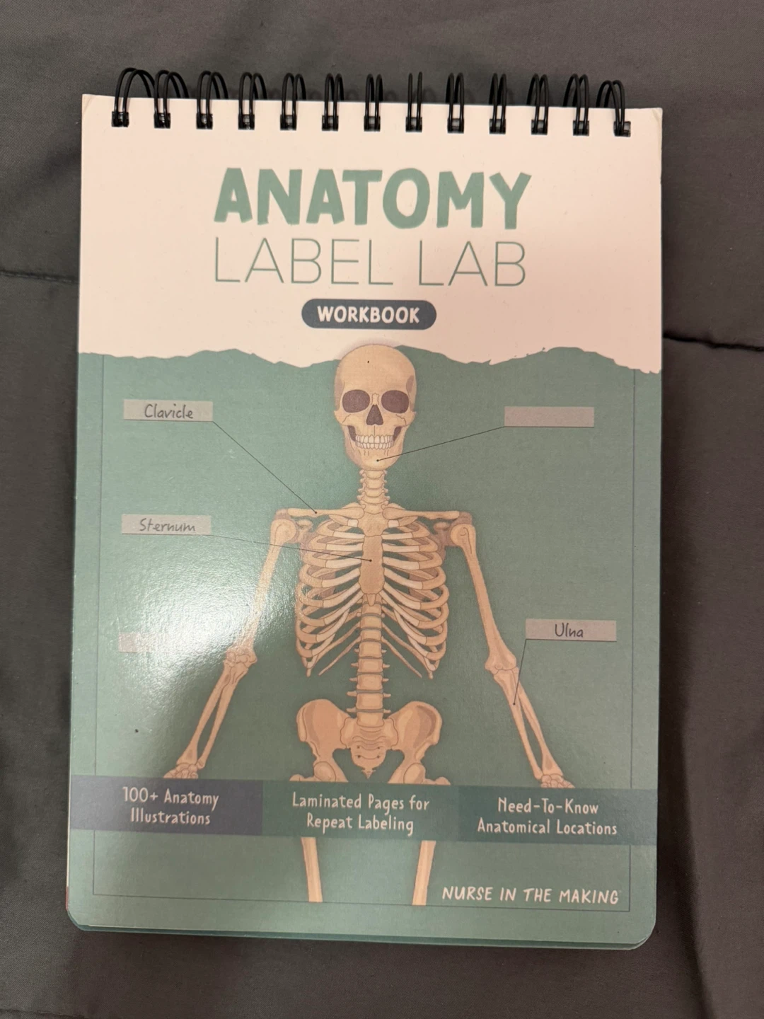 Anatomy Label Lab Workbook