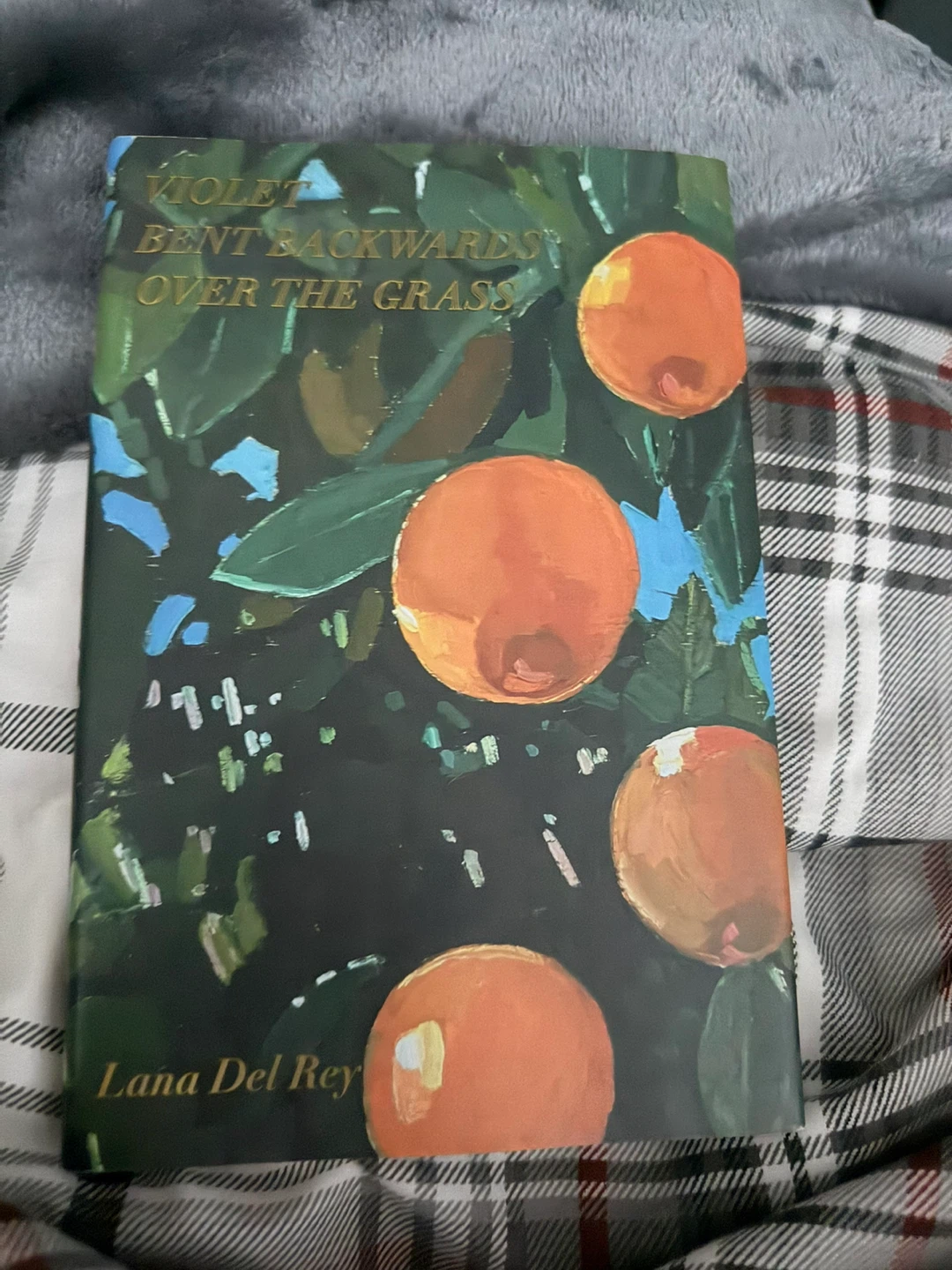 Violet Bent Backwards Over the Grass Poetry Book by Lana Del Rey
