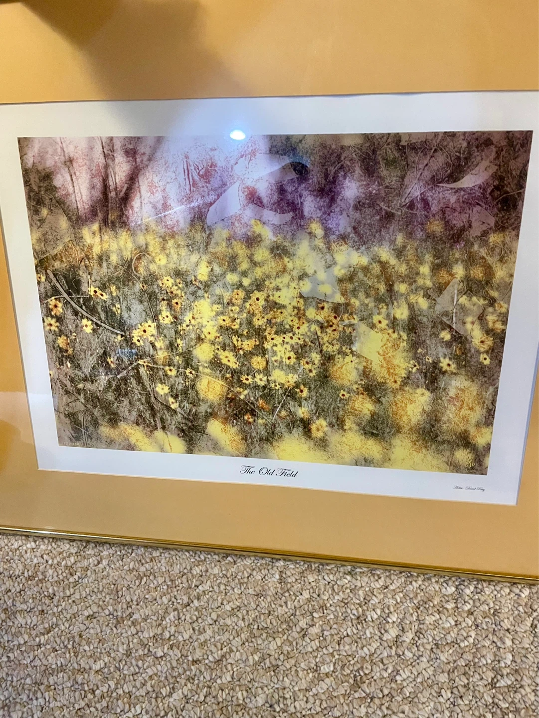 The Giclée Field Print by Sandcastle Studios