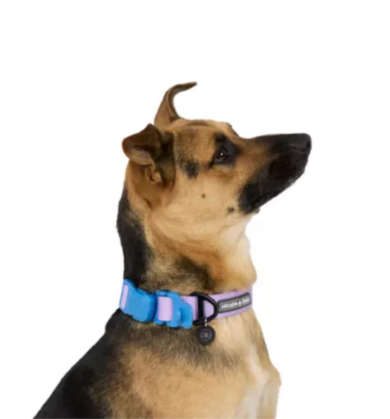 Arcadia Trail® Magnetic Collar Sz Large