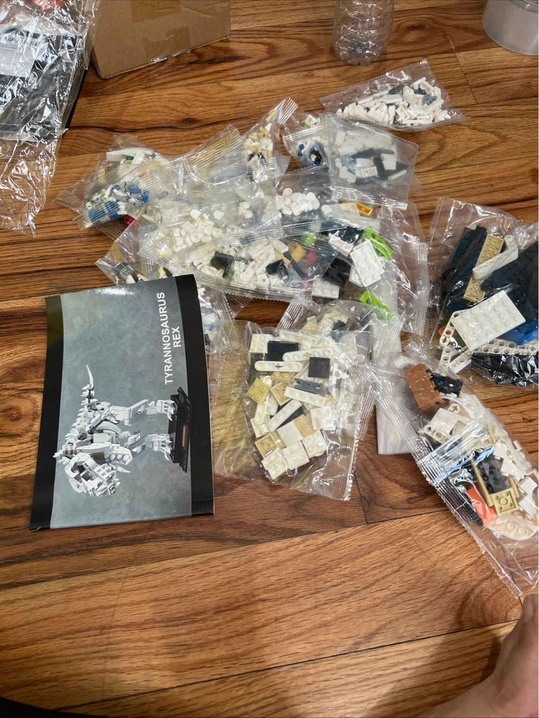 Tyrannosaurus Rex Building Block Set