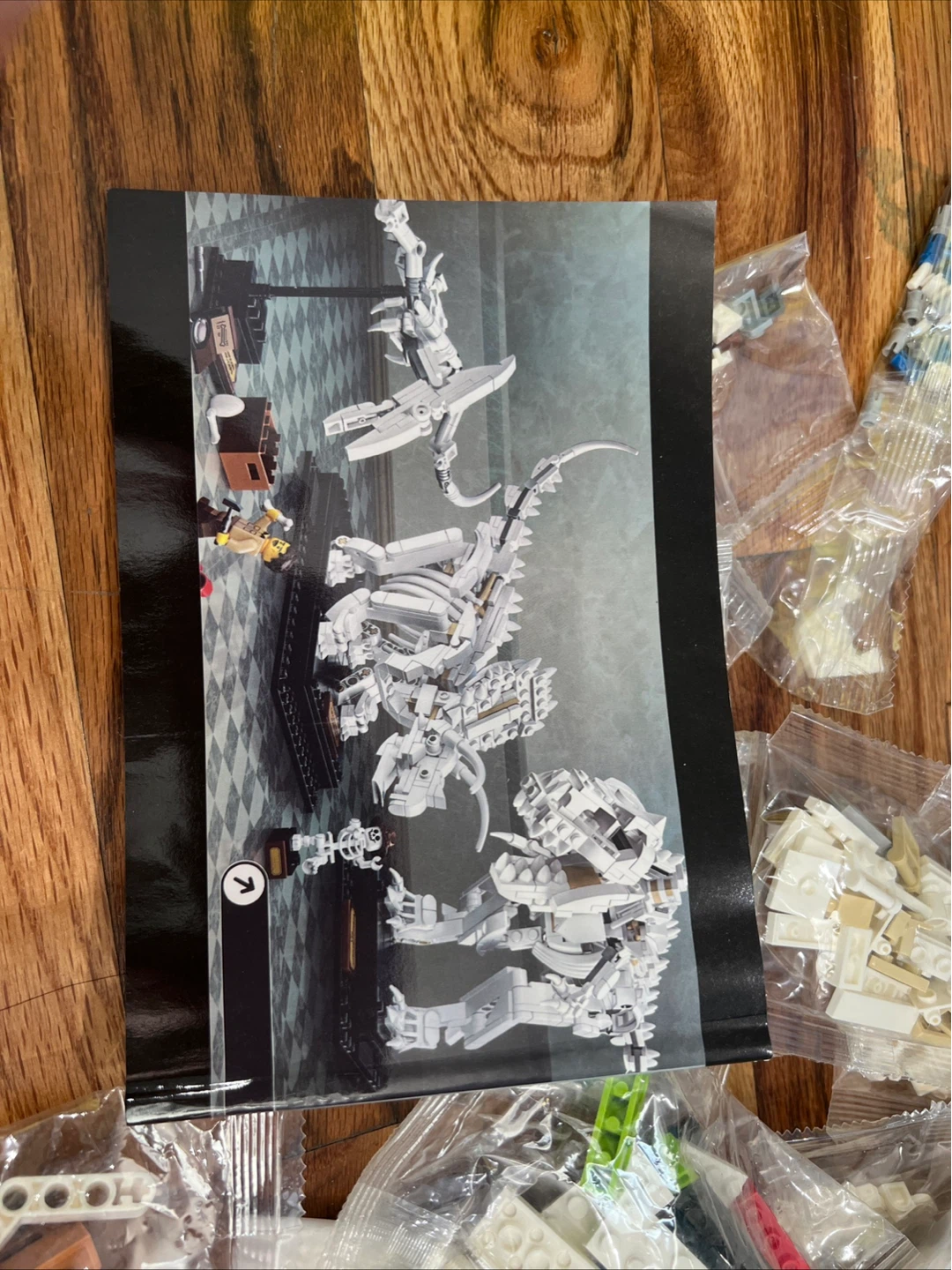 Tyrannosaurus Rex Building Block Set - photo 4