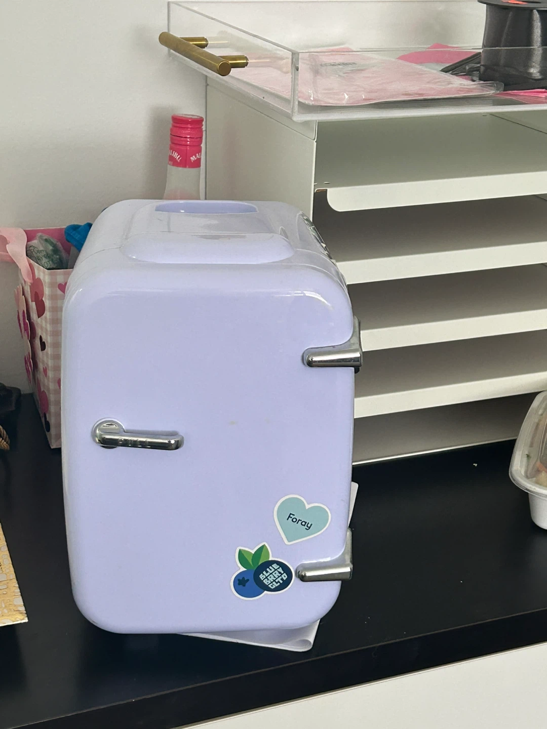Mini Fridge